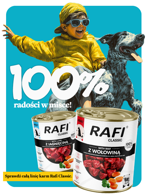 Nowe karmy Rafi Classic dla psa