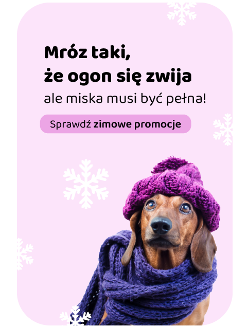 Zimowe promocje Luger's