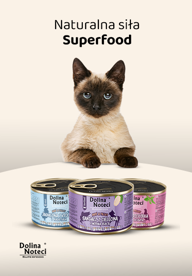 Dolina Noteci Superfood dla kota