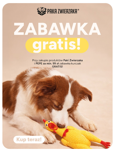 Zabawka dla psa gratis do zakupów produktów Paka Zwierzaka
